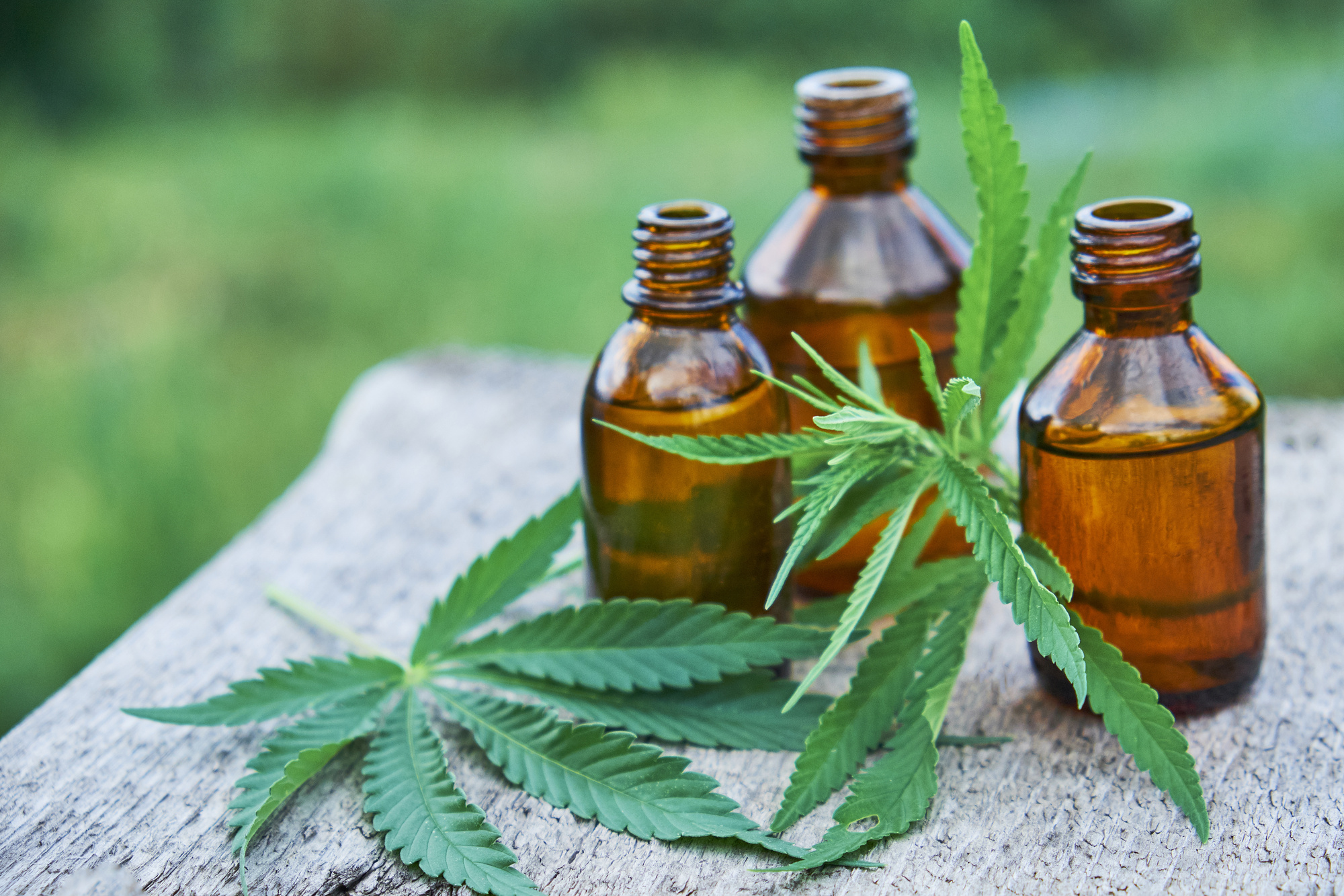 CBD oil and marijuana leaves