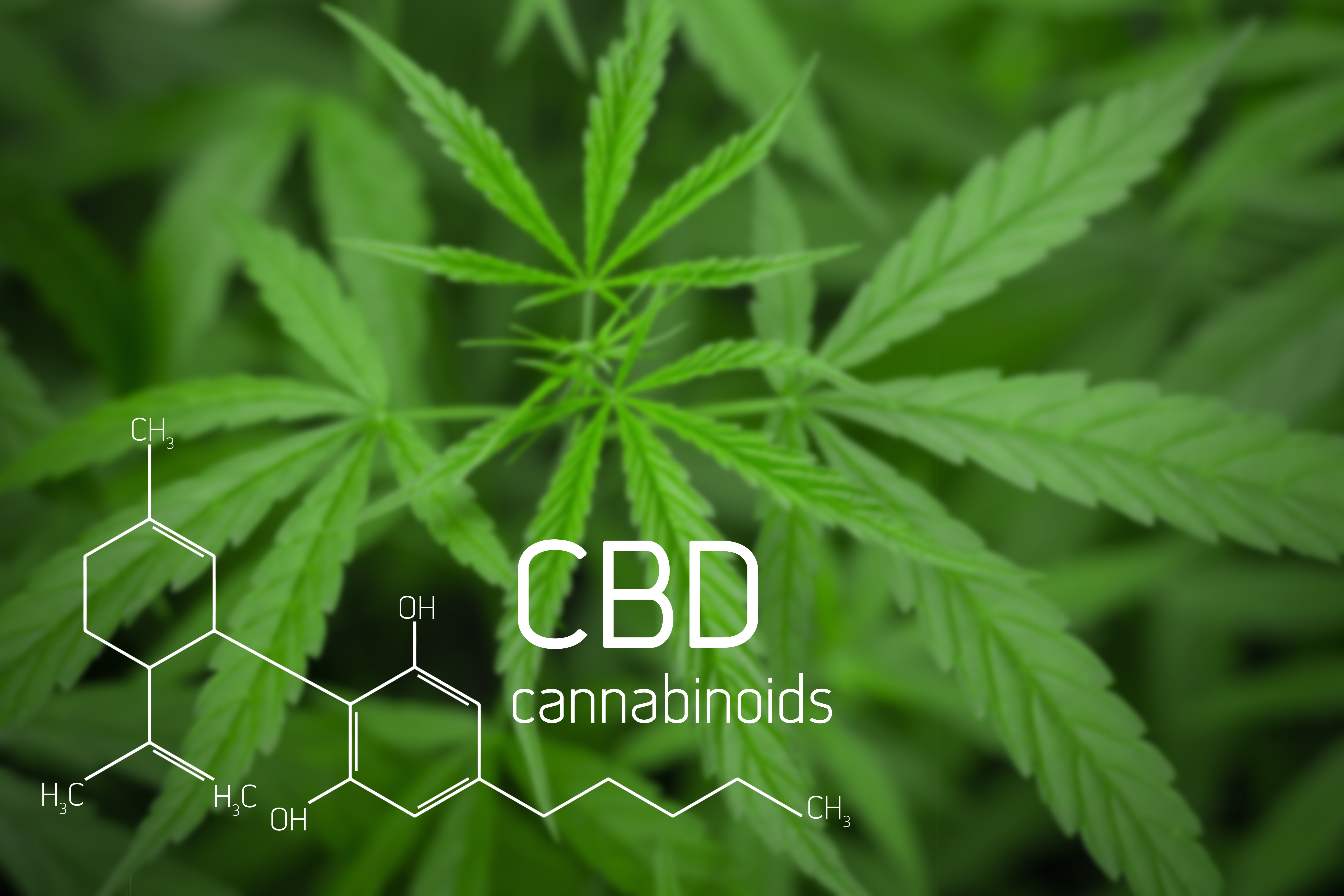 CBD and cannabinoids text