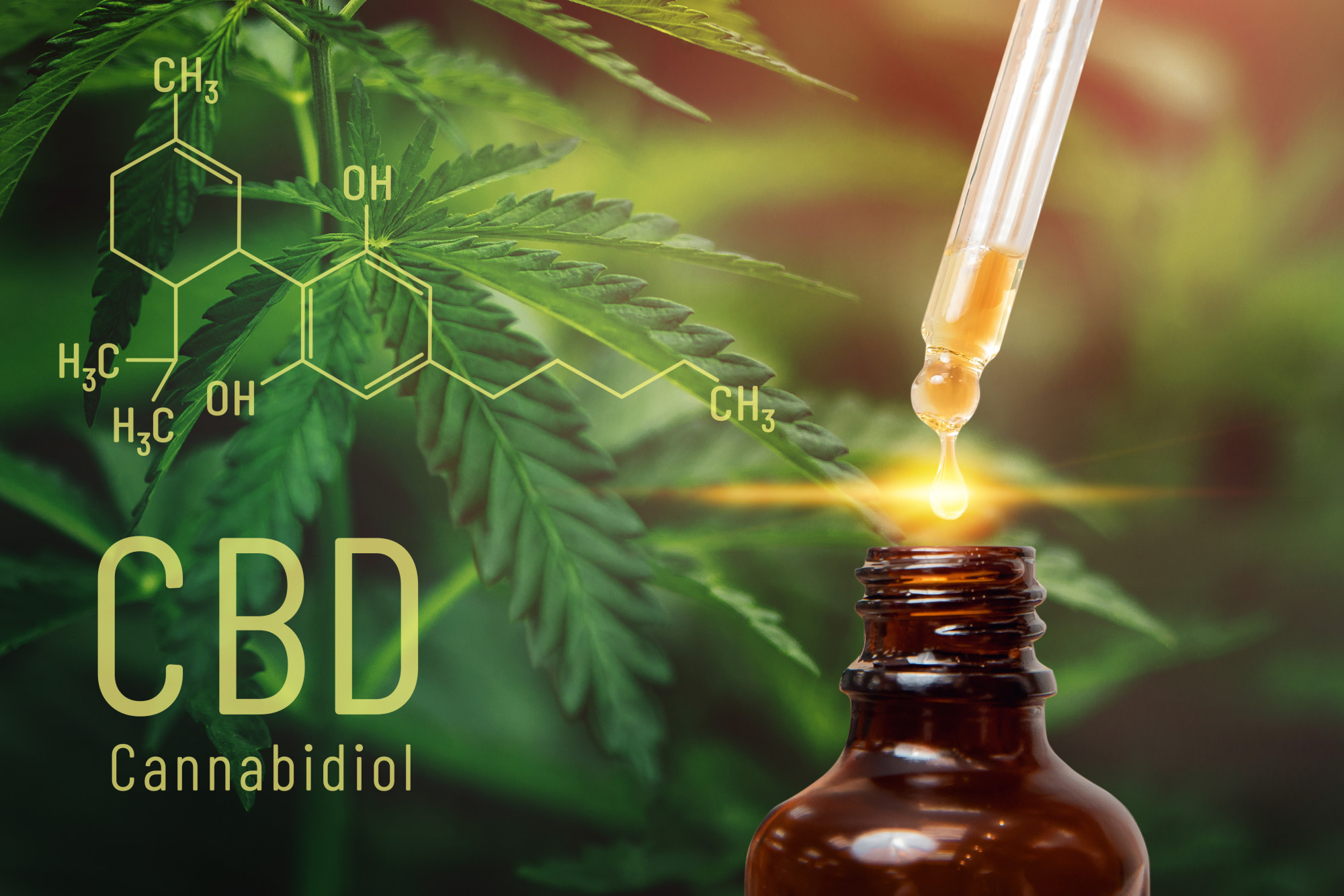 CBD formula and bottle with plant