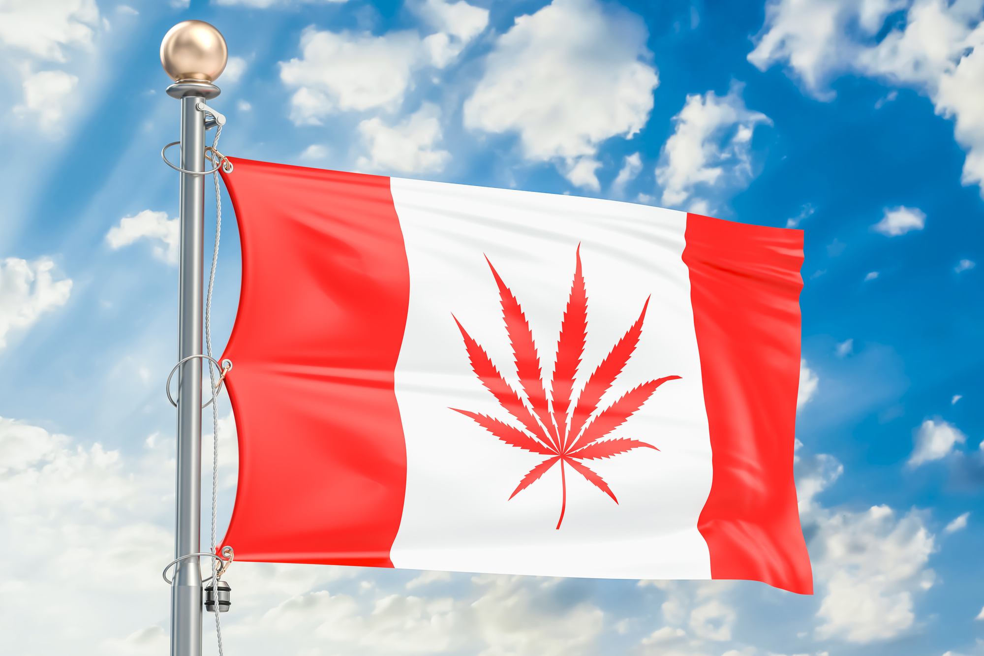 Canadian flag with pot leaf