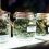 How to Start a Marijuana Dispensary from Scratch: A 5 Step Guide